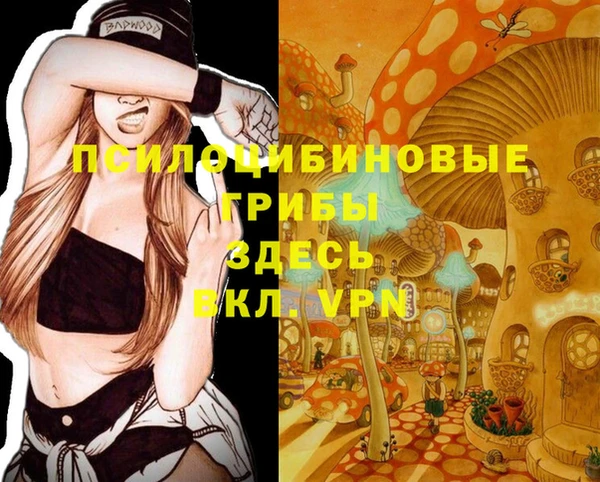 прущие крисы Карпинск