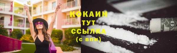 прущие крисы Карпинск