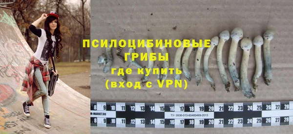 прущие крисы Карпинск