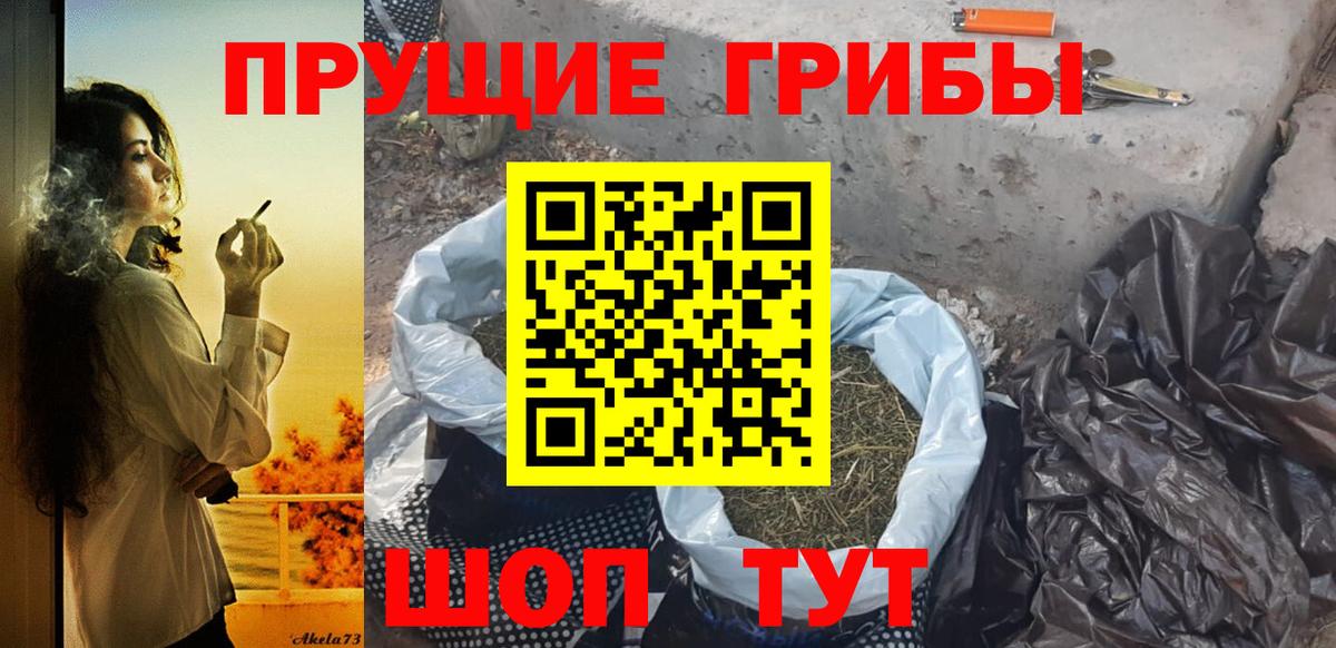 Галлюциногенные грибы Psilocybine cubensis Кизляр